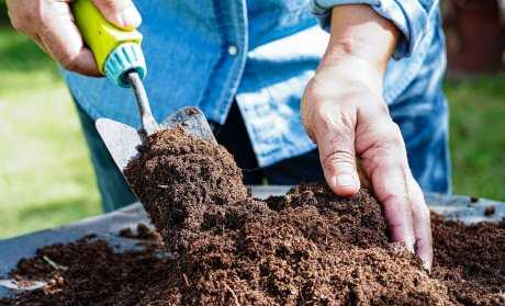 Toprağın pH Değerlerini Ölçerek Toprağın Asitlik veya Alkalilik Seviyesini Belirleme