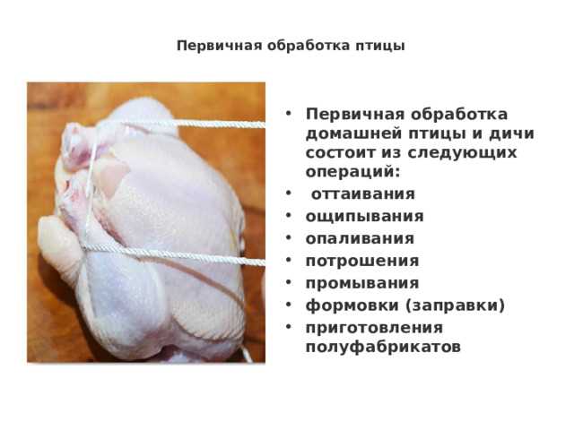 Tavuk ve horozun etinden yapılan lezzetli yemekler