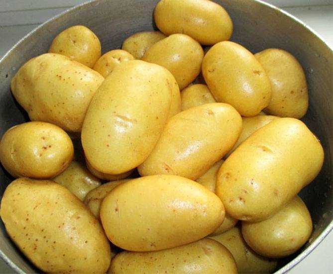 A Vitamini Bakımından Zengin Patates Çeşitleri