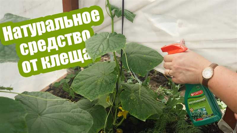 Bitkiyi koruma yöntemleri