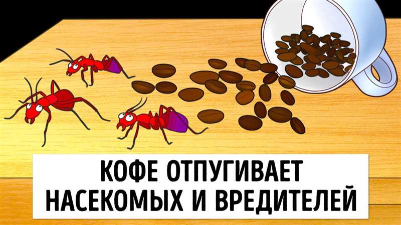 Karıncalarla mücadelede etkili yöntemler