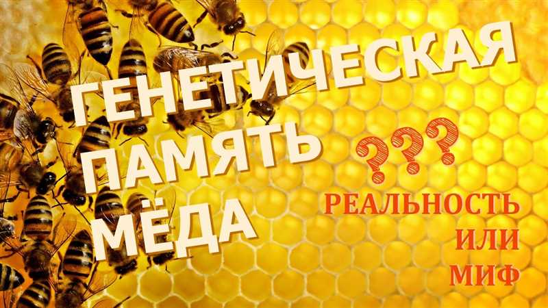 Geçmiş deneylerin arıların hafızası hakkında ne gösterdi?