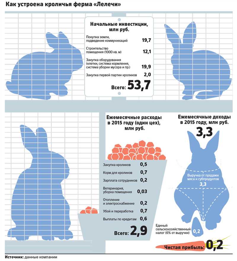 Dev tavşanları nasıl beslemeli?