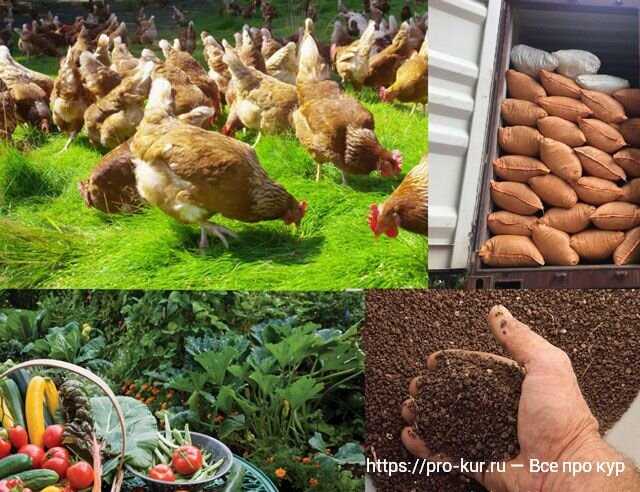 Tavuk gübresi ve çiftlik atıklarının toprak verimliliğine etkisi