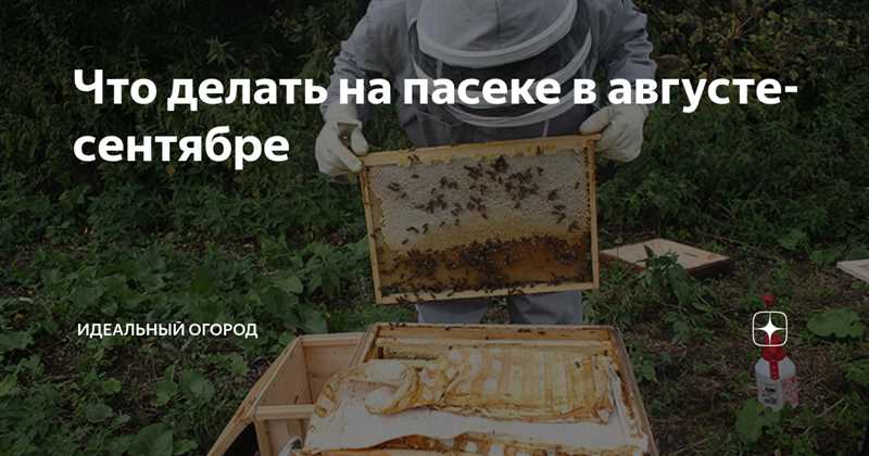 Ağustos Ayında Arılar İçin Polen Toplama ve Saklama