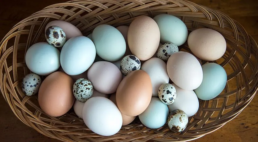 Çin Horozu Yumurtalarının Besin Değerleri