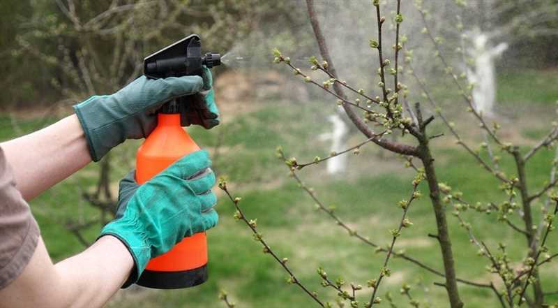 İlkbaharda armut ağaçlarında görülen zararlılar