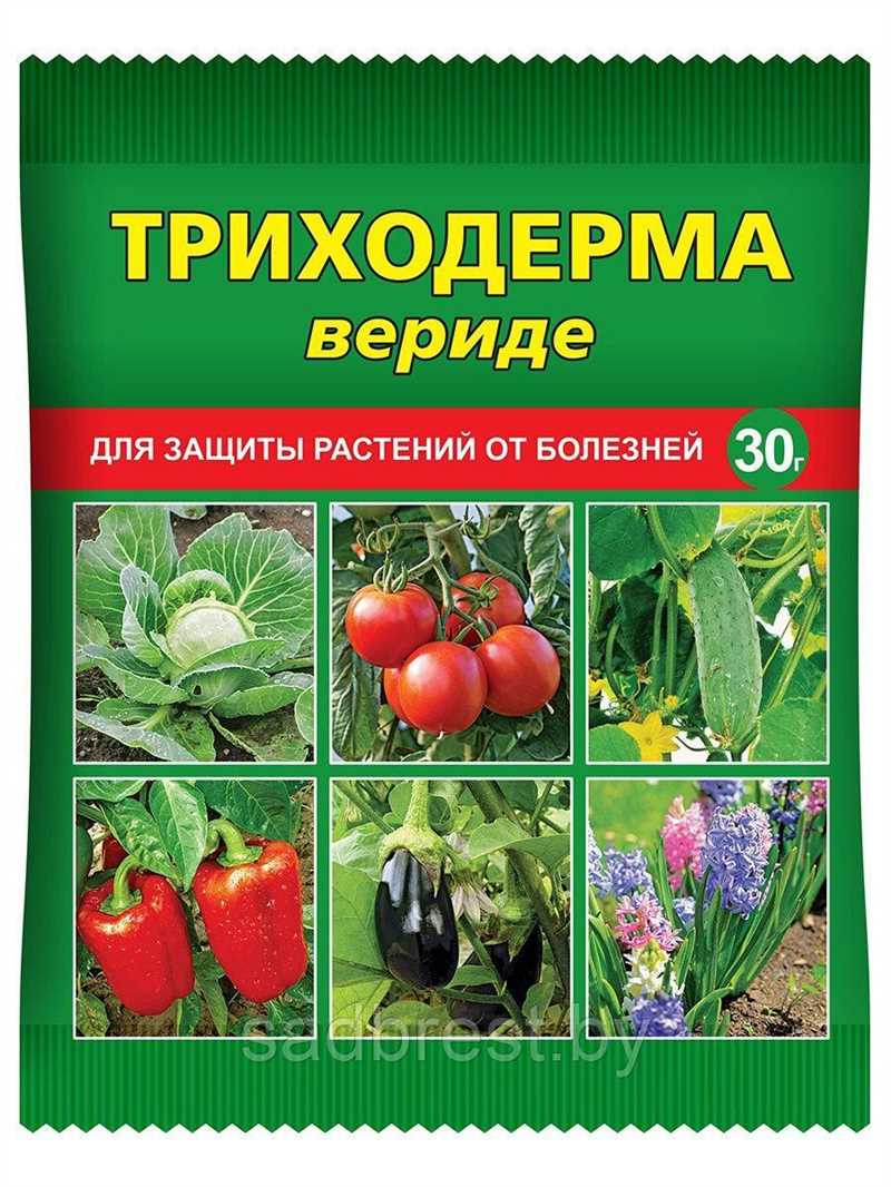Solanum Bitkilerinde Hastalıklar
