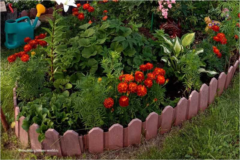 Kendi Ellerinizle Bahçenize Renkli Çiçeklerle Güzel Bir Bahçe Düzenlemesi Nasıl Yapılır — Verandada Estetik Bir Gaz Alanının Tasarımı