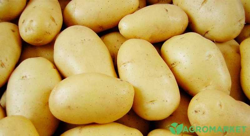 Patates Hastalıkları ve Zararlıları
