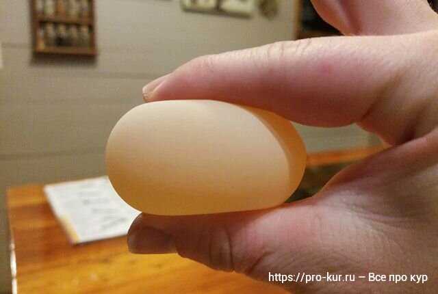 Yumurtalar neden boşa dökülüyor: sağlık sorunları