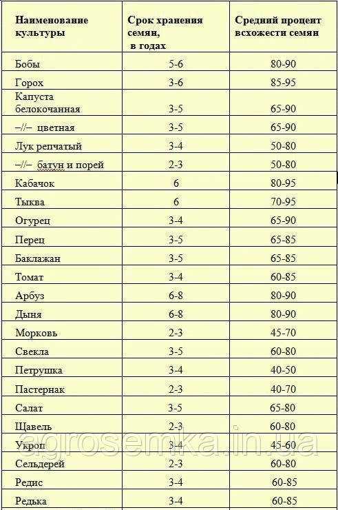 Çimlenme Testi nedir? 