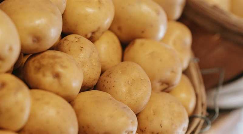Erken Patates Nasıl Yetiştirilir?