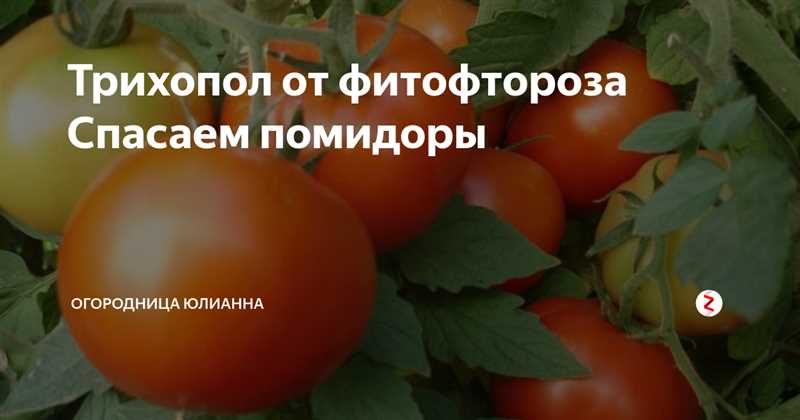 Trihopol'un domatesler üzerindeki etkisi nedir?